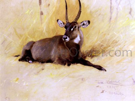 A Common Waterbuck by Wilhelm Kuhnert - Hand-Painted Oil Painting on Canvas For Sale