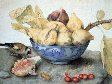 China Bowl with Figs, a Bird, and Cherries by Giovanna Garzoni - Hand-Painted Oil Painting on Canvas Discount