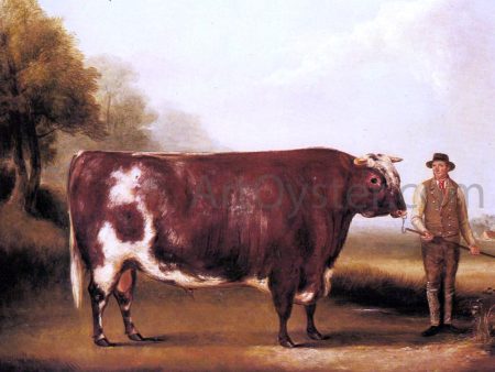 A Dark Roan Bull by William Davis - Hand-Painted Oil Painting on Canvas Online Hot Sale