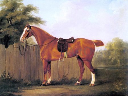 A Chestnut Hunter Tethered to a Fence by John Nost Sartorius - Hand-Painted Oil Painting on Canvas Sale