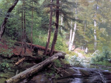 A Bear Approaching a Forest Stream by Herman Herzog - Hand-Painted Oil Painting on Canvas Online Hot Sale