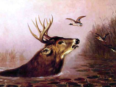 A Deer in Marsh by Arthur Fitzwilliam Tait - Hand-Painted Oil Painting on Canvas Fashion