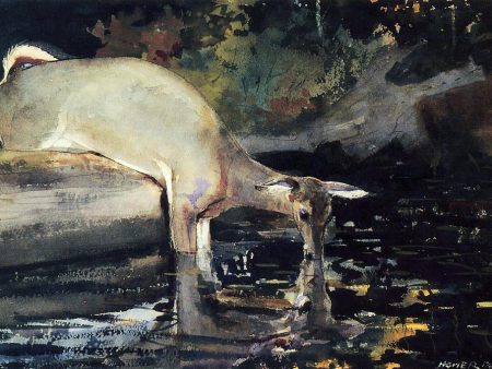 A Deer Drinking by Winslow Homer - Hand-Painted Oil Painting on Canvas For Cheap