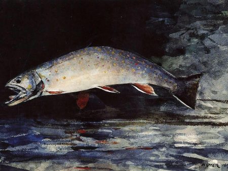 A Brook Trout by Winslow Homer - Hand-Painted Oil Painting on Canvas For Cheap